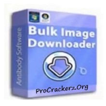 Bulk Image Downloader Crack 2022