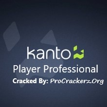 Kanto Player Professional Crack 2022