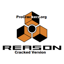 Reason Crack