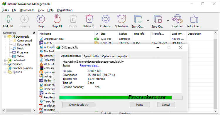 Internet Download Manager Portable