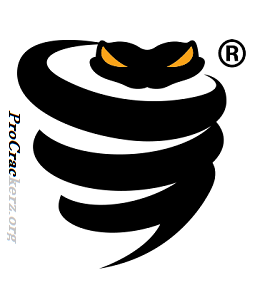 VyprVPN Download